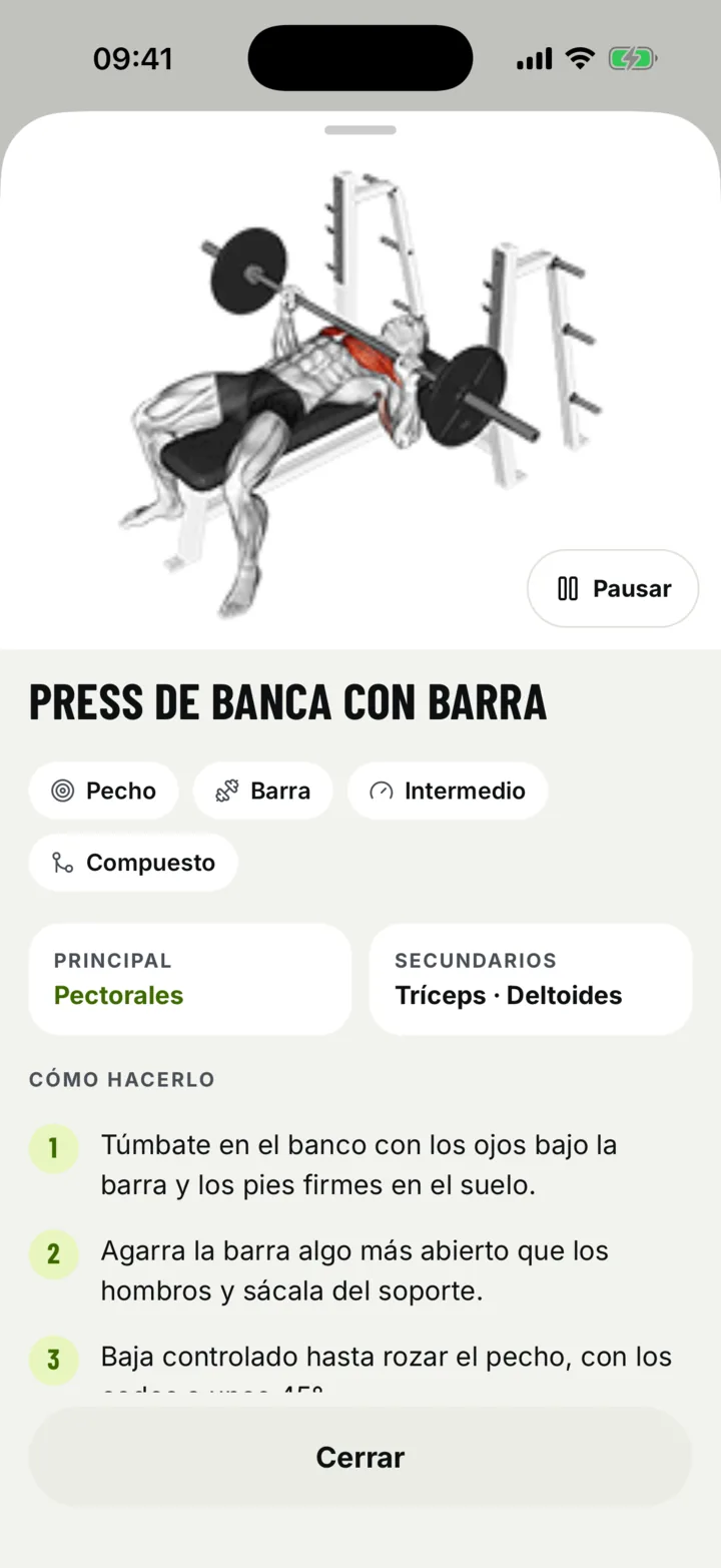 Ficha de un ejercicio con animación, músculos trabajados y pasos